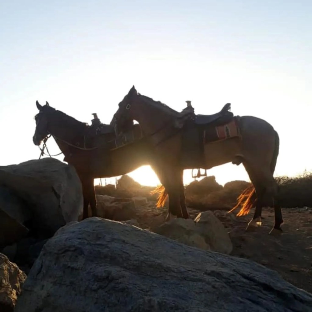 RANCHO NOTORIOUS ARUBA